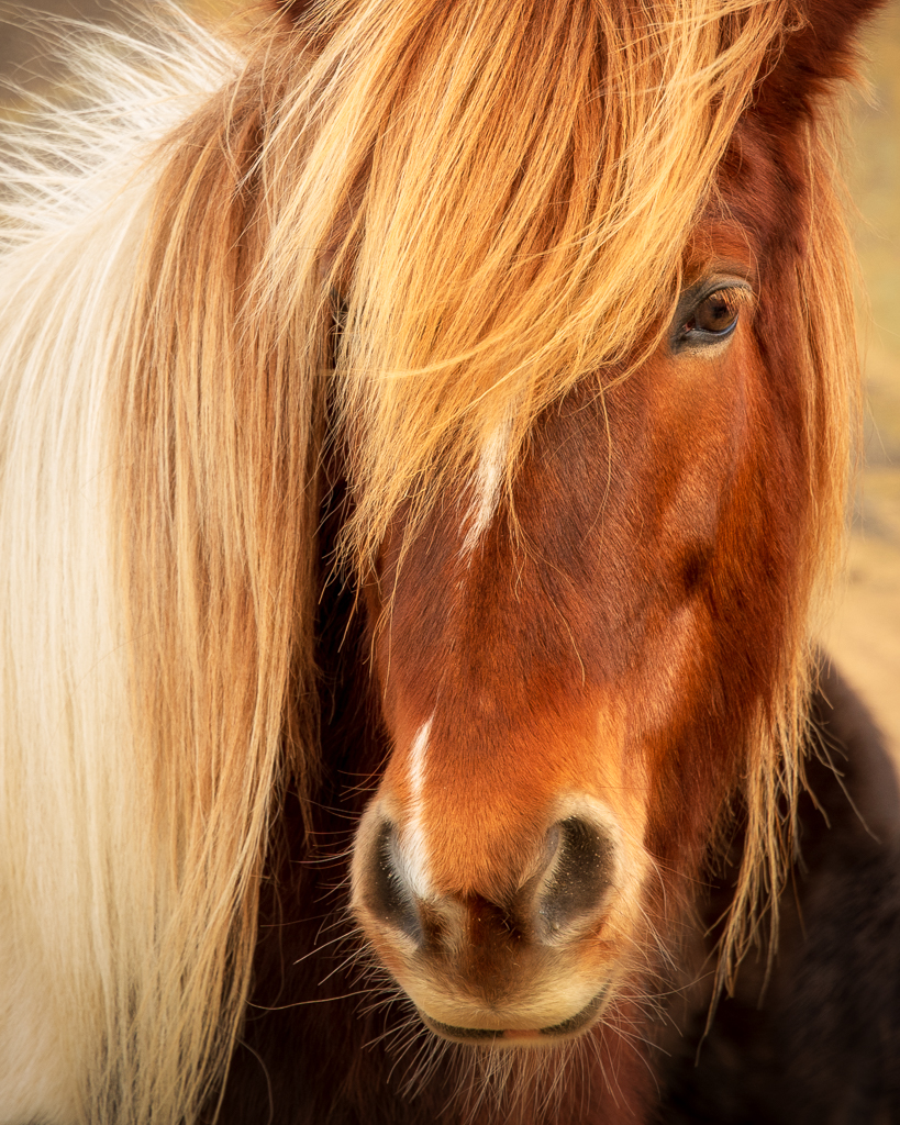 Print In Class M By Mark Houde For Well Hi There Big Boy MAY-2019.jpg